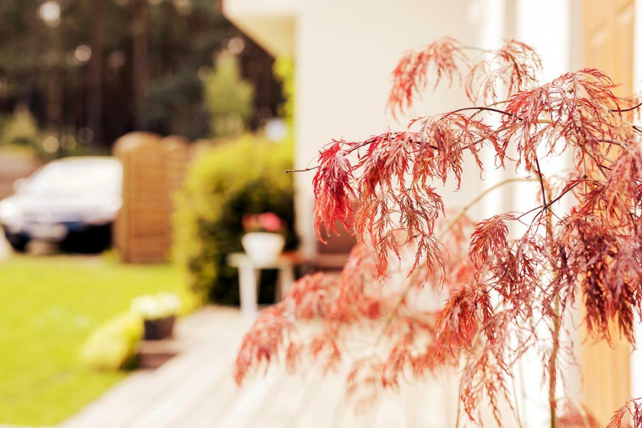 Urlop Przy Wydmach Apartment เมียนซีวอเจีย ภายนอก รูปภาพ