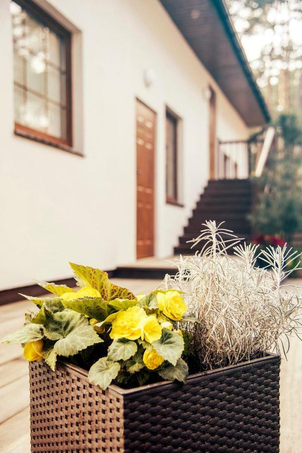 Urlop Przy Wydmach Apartment เมียนซีวอเจีย ภายนอก รูปภาพ